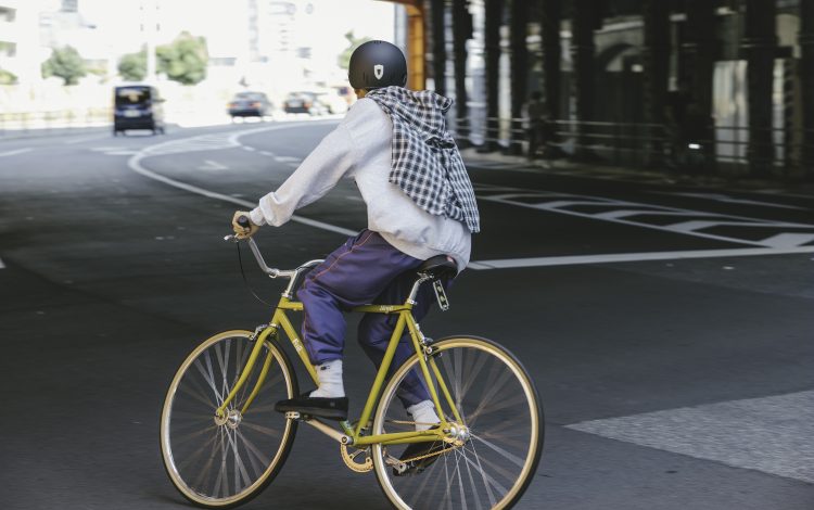 STROLL - FUJI BIKE フジ自転車